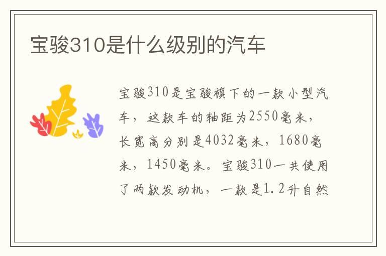宝骏310是什么级别的汽车