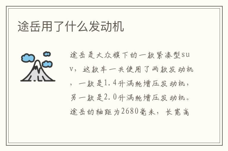途岳用了什么发动机