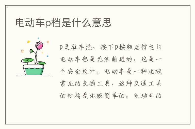 电动车p档是什么意思