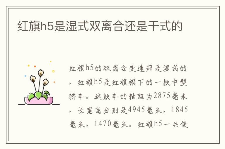 红旗h5是湿式双离合还是干式的