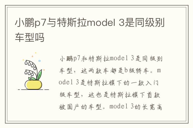 小鹏p7与特斯拉model 3是同级别车型吗