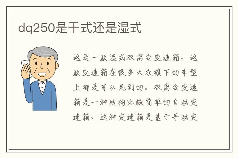 dq250是干式还是湿式