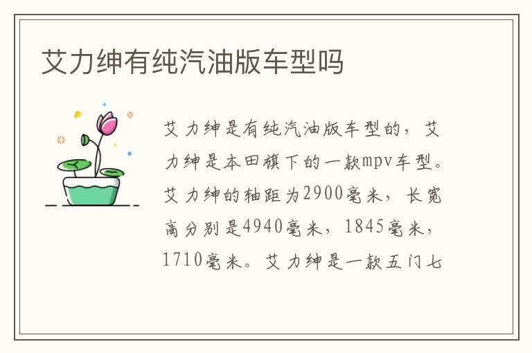 艾力绅有纯汽油版车型吗