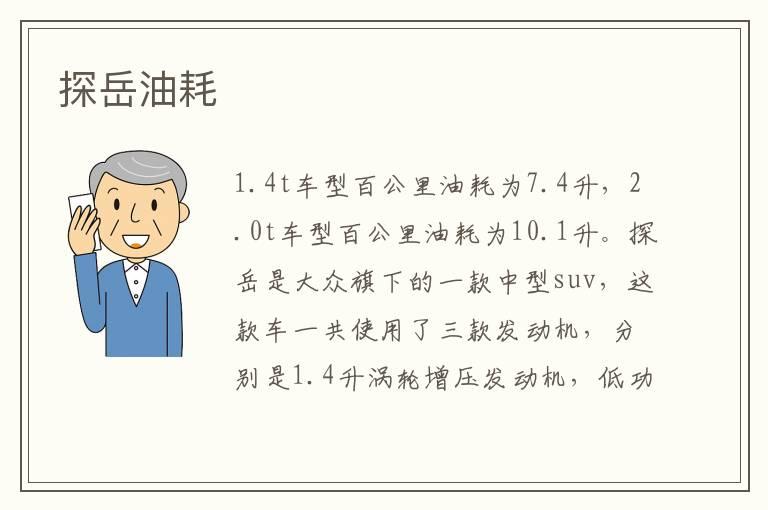 探岳油耗
