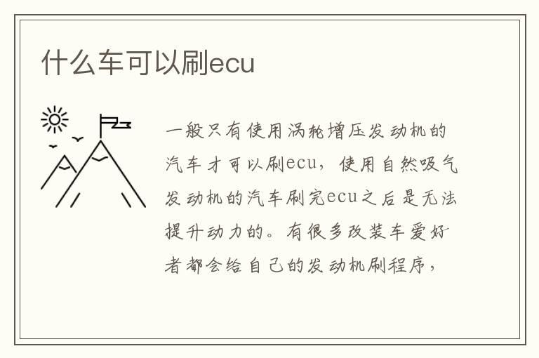 什么车可以刷ecu