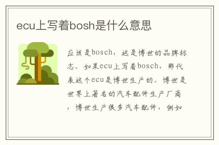 ecu上写着bosh是什么意思