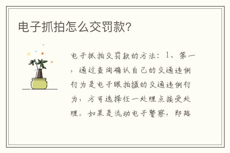 电子抓拍怎么交罚款?