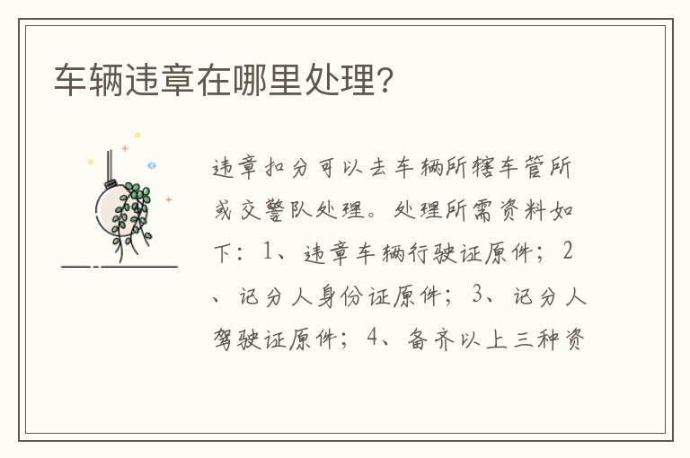 车辆违章在哪里处理?