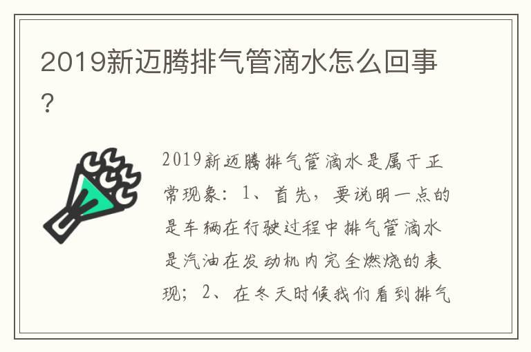 2019新迈腾排气管滴水怎么回事?