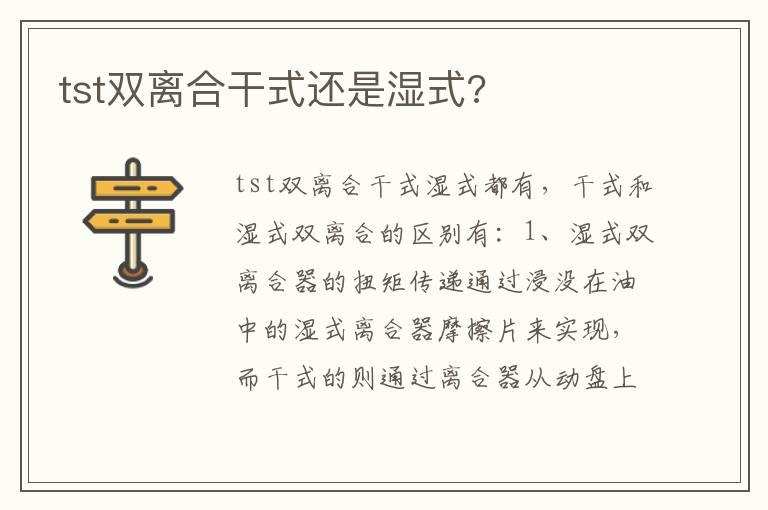 tst双离合干式还是湿式?