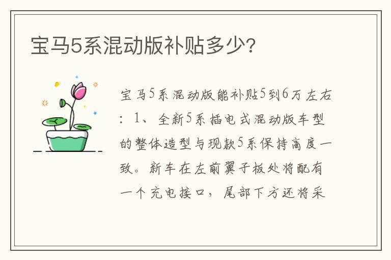 宝马5系混动版补贴多少?
