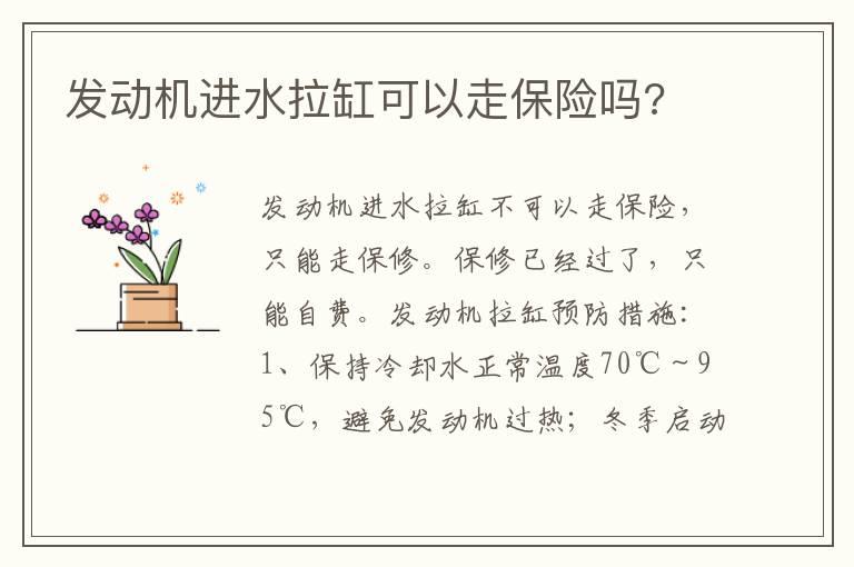 发动机进水拉缸可以走保险吗?