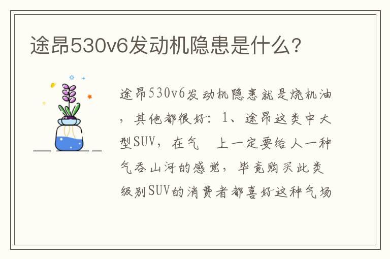 途昂530v6发动机隐患是什么?