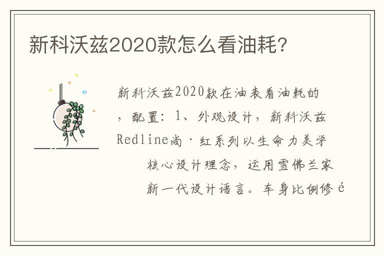 新科沃兹2020款怎么看油耗?