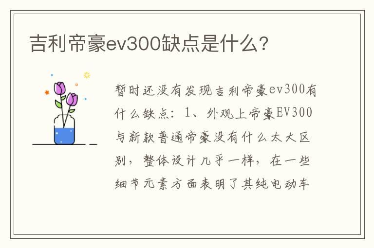 吉利帝豪ev300缺点是什么?