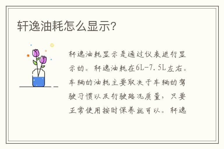 轩逸油耗怎么显示?