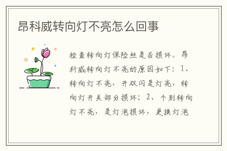 昂科威转向灯不亮怎么回事
