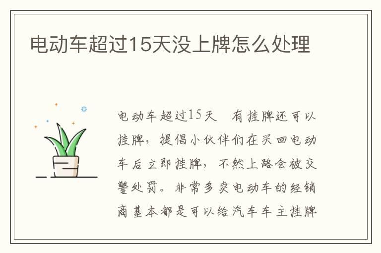 电动车超过15天没上牌怎么处理