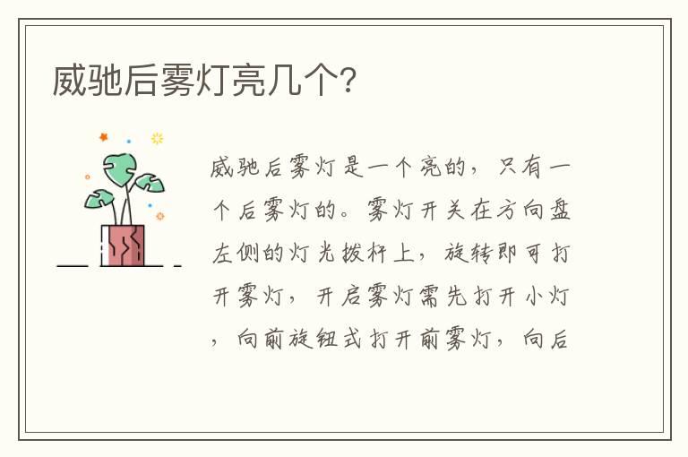 威驰后雾灯亮几个?