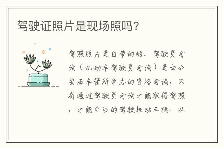 驾驶证照片是现场照吗?
