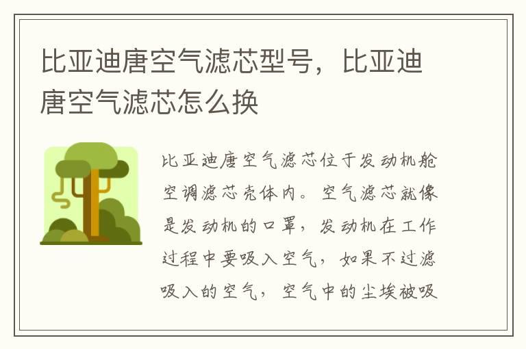 比亚迪唐空气滤芯型号，比亚迪唐空气滤芯怎么换
