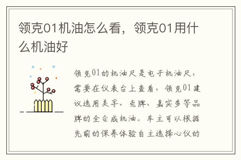 领克01机油怎么看，领克01用什么机油好
