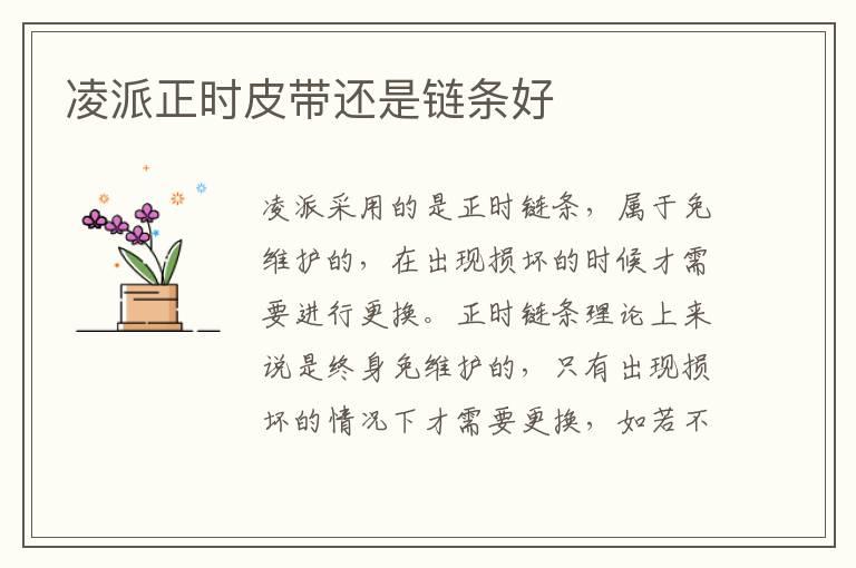 凌派正时皮带还是链条好