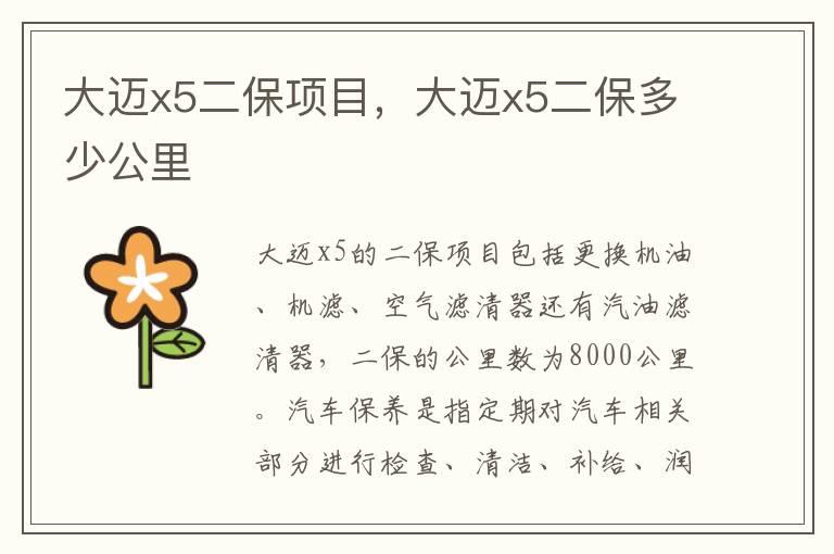 大迈x5二保项目，大迈x5二保多少公里