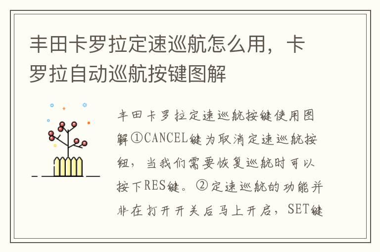 丰田卡罗拉定速巡航怎么用，卡罗拉自动巡航按键图解