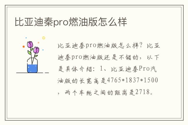比亚迪秦pro燃油版怎么样