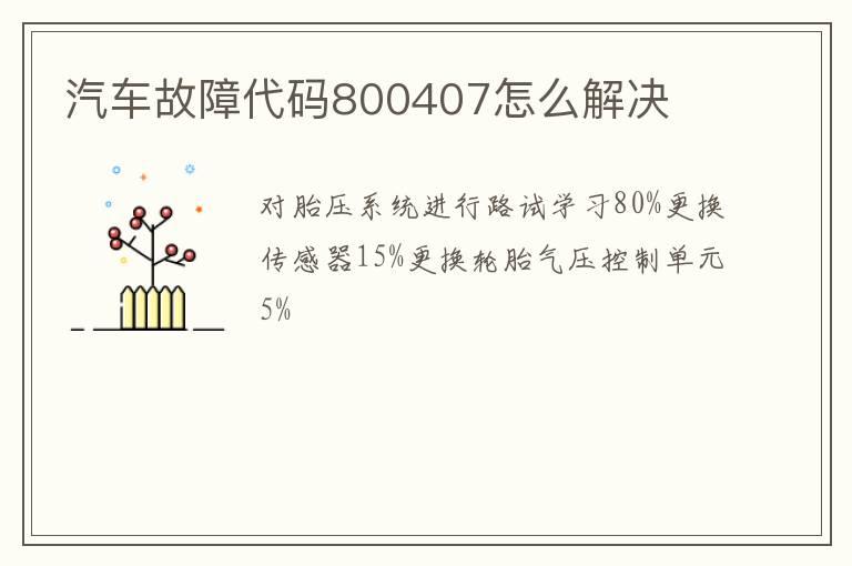 汽车故障代码800407怎么解决
