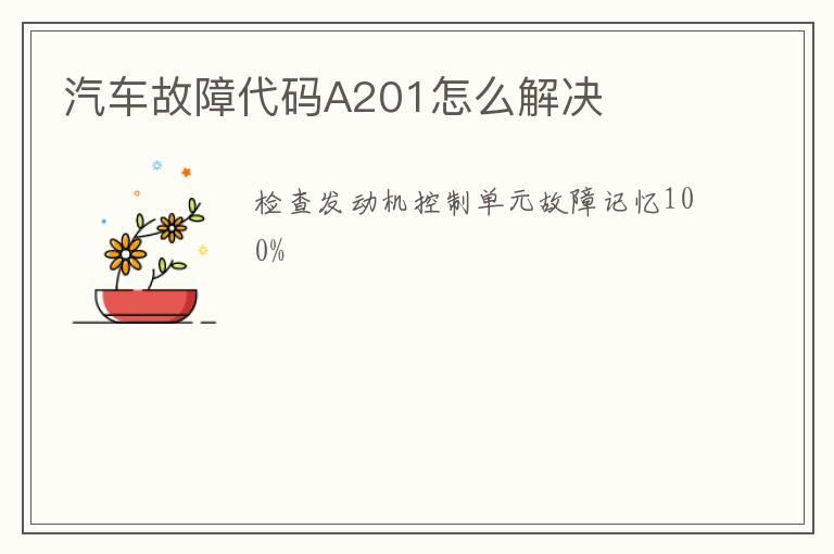 汽车故障代码A201怎么解决