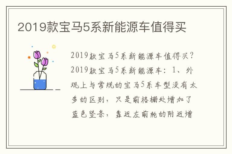 2019款宝马5系新能源车值得买