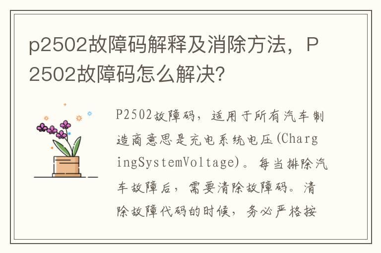 p2502故障码解释及消除方法，P2502故障码怎么解决？