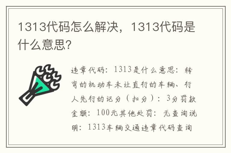 1313代码怎么解决，1313代码是什么意思？