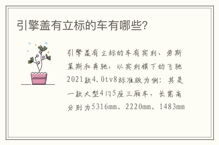 引擎盖有立标的车有哪些？