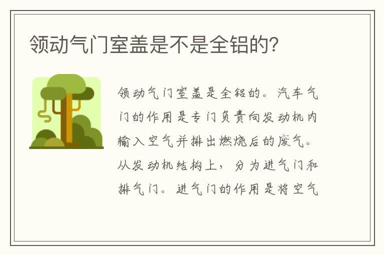 领动气门室盖是不是全铝的？