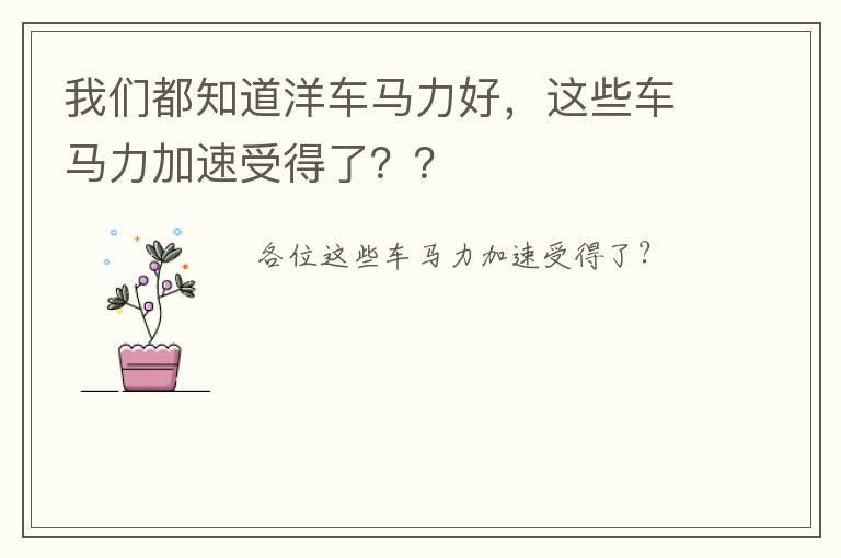 我们都知道洋车马力好，这些车马力加速受得了？？