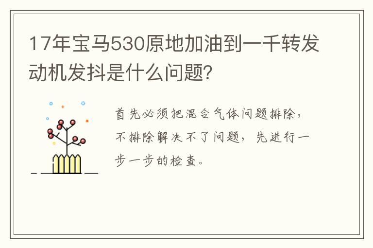 17年宝马530原地加油到一千转发动机发抖是什么问题？