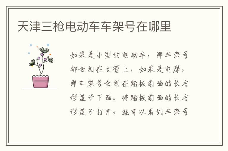 天津三枪电动车车架号在哪里