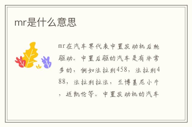 mr是什么意思