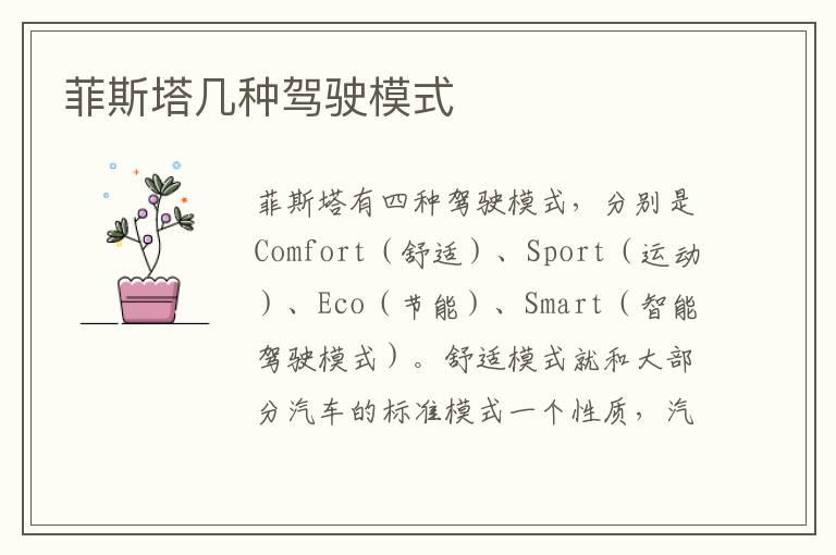 菲斯塔几种驾驶模式