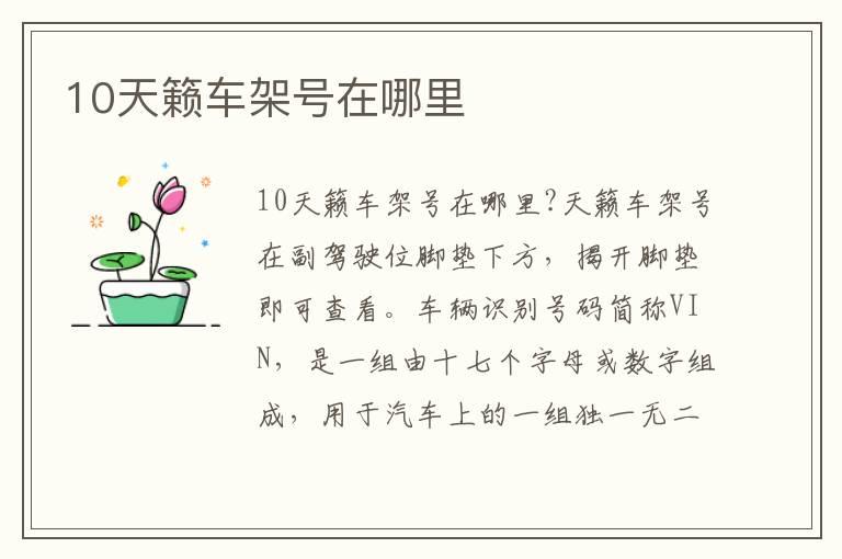 10天籁车架号在哪里