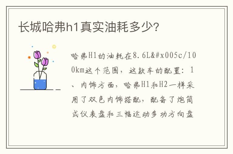 长城哈弗h1真实油耗多少?