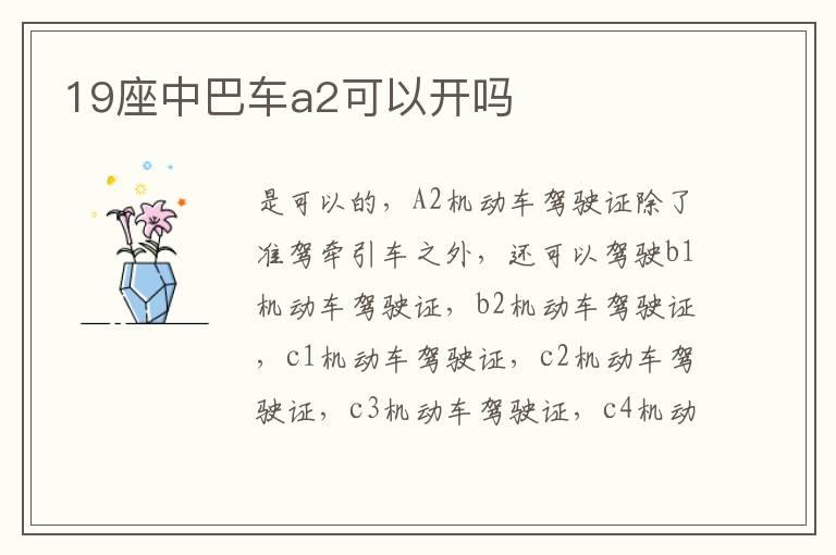 19座中巴车a2可以开吗