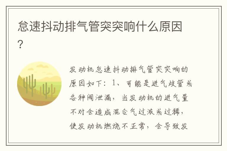怠速抖动排气管突突响什么原因?