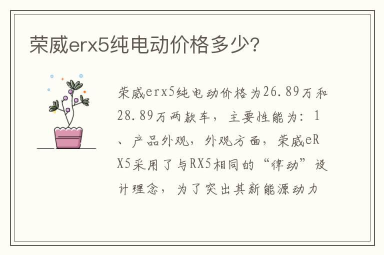 荣威erx5纯电动价格多少?