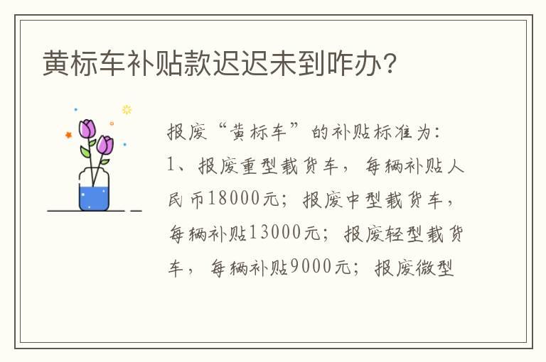 黄标车补贴款迟迟未到咋办?