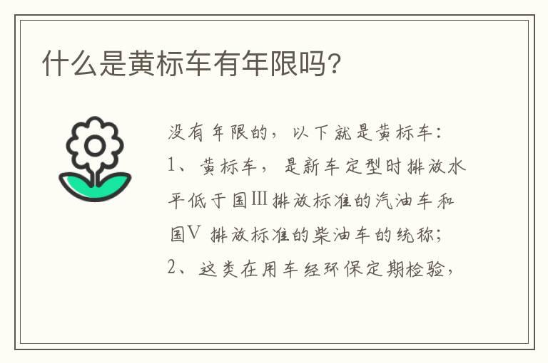什么是黄标车有年限吗?