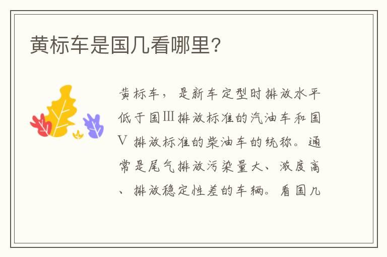 黄标车是国几看哪里?